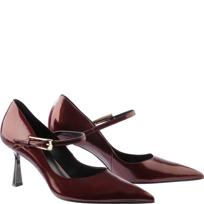 Högl Angel Pump