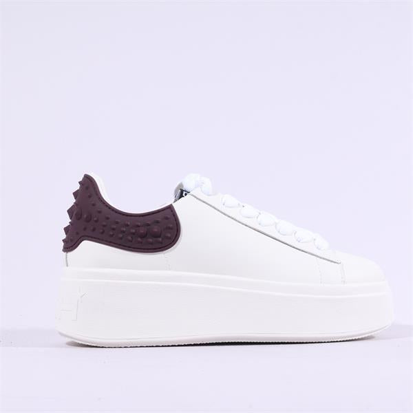 ASH Moby trainer