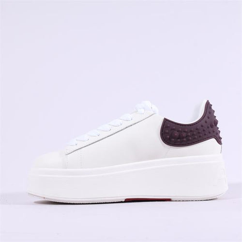 ASH Moby trainer