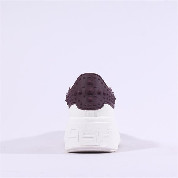 ASH Moby trainer